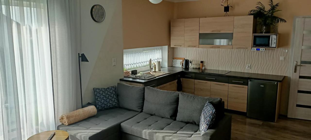 Apartamenty Modrzewiowe Tarasy Chojnice Eksteriør billede